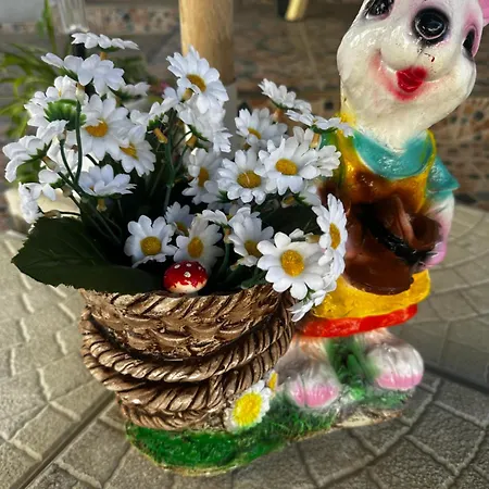 بيت ضيافة Elada *